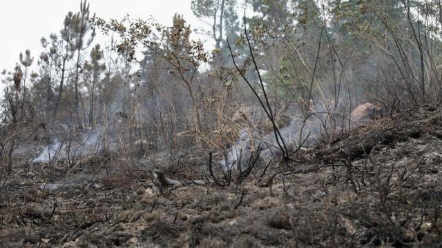 Es poco común que se active un aviso por incendio en el mes de octubre.