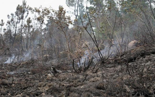 Es poco com&uacute;n que se active un aviso por incendio en el mes de octubre.