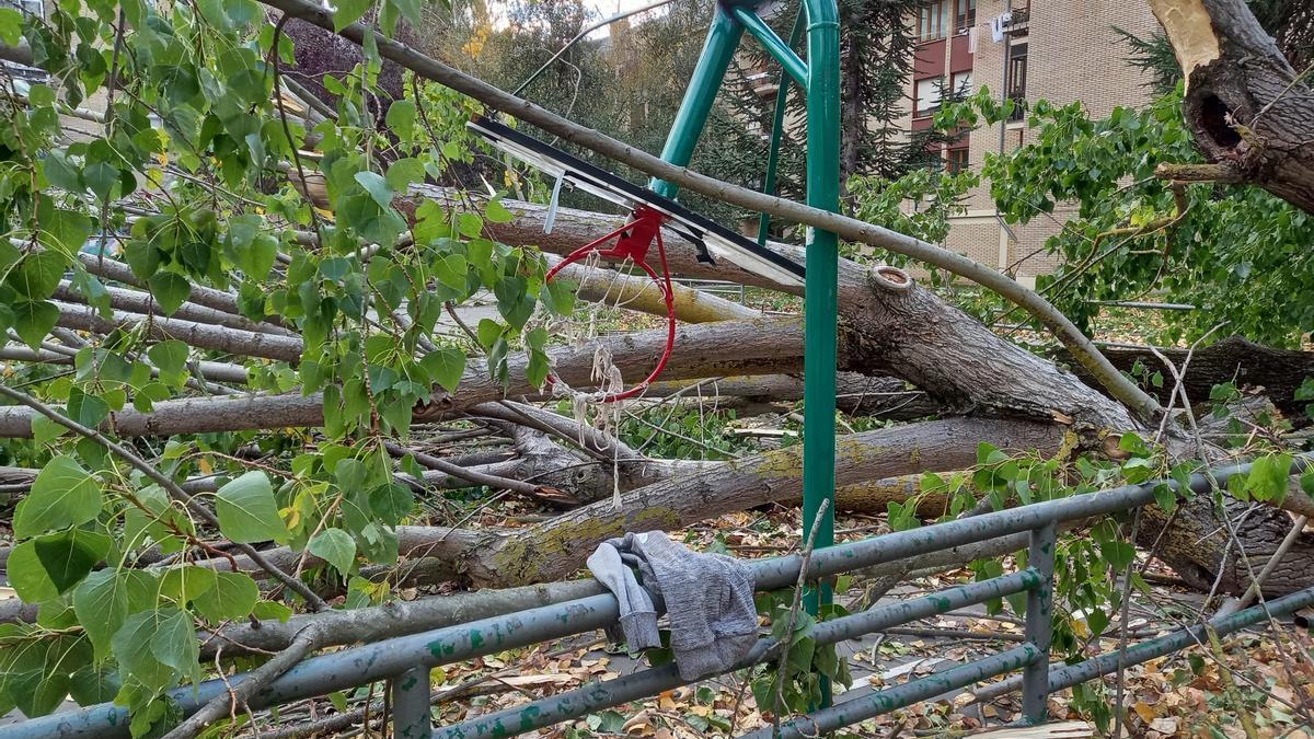 Así quedó una cancha de baloncesto de Vitoria tras el vendaval