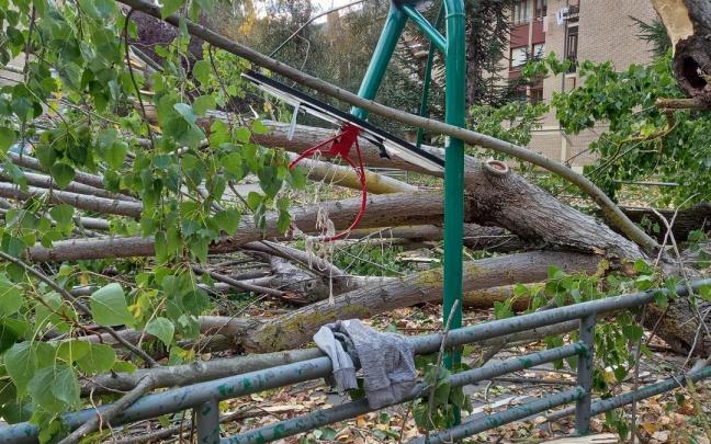 Así quedó una cancha de baloncesto de Vitoria tras el vendaval