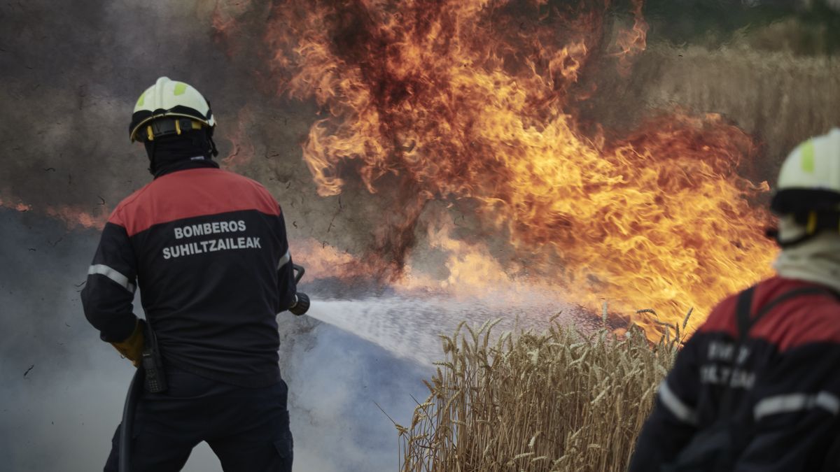 Incendio declarado entre Obanos y Legarda, Nafarroa.