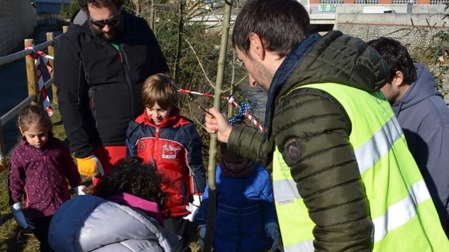 Una anterior plantación de árboles con población infantil.