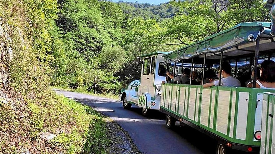 Aiako Harria Parke Naturaletik Arditurrira doan trena. | ARGAZKIA: N.G.