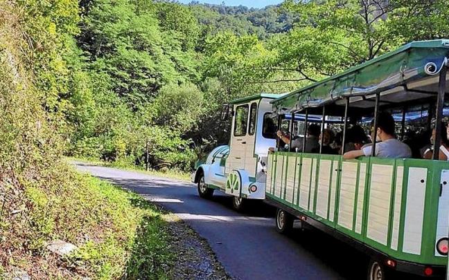 Aiako Harria Parke Naturaletik Arditurrira doan trena. | ARGAZKIA: N.G.