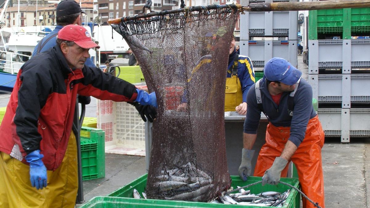 Descargando pescado en el puerto de Ondarroa.