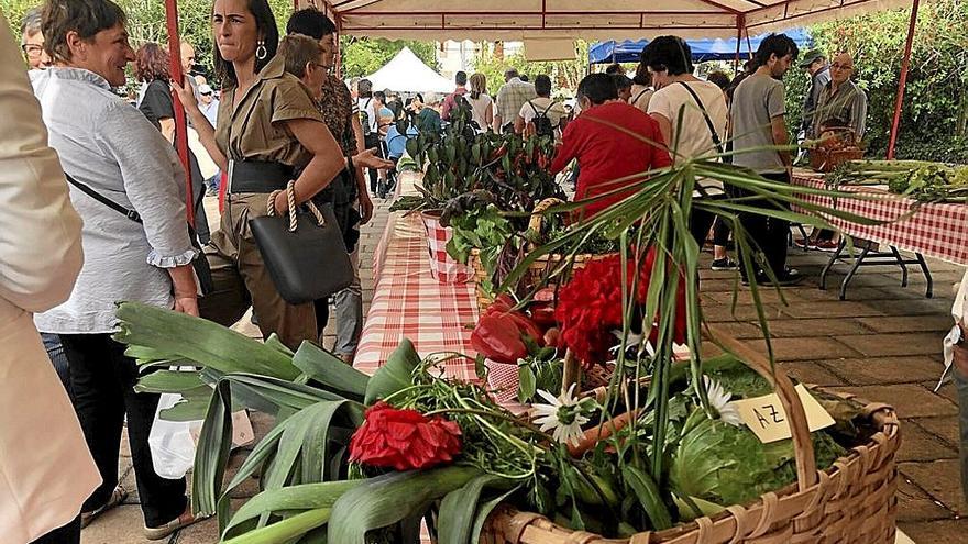Se colocaron once stands en la exposición de productos de la huerta.