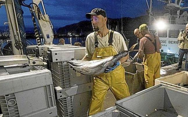 Descarga de bonito en el puerto de Getaria, uno de los principales de la flota vasca.