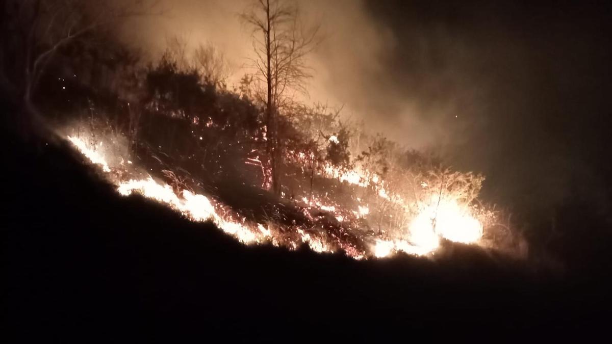 Incendio forestal en Asteasu