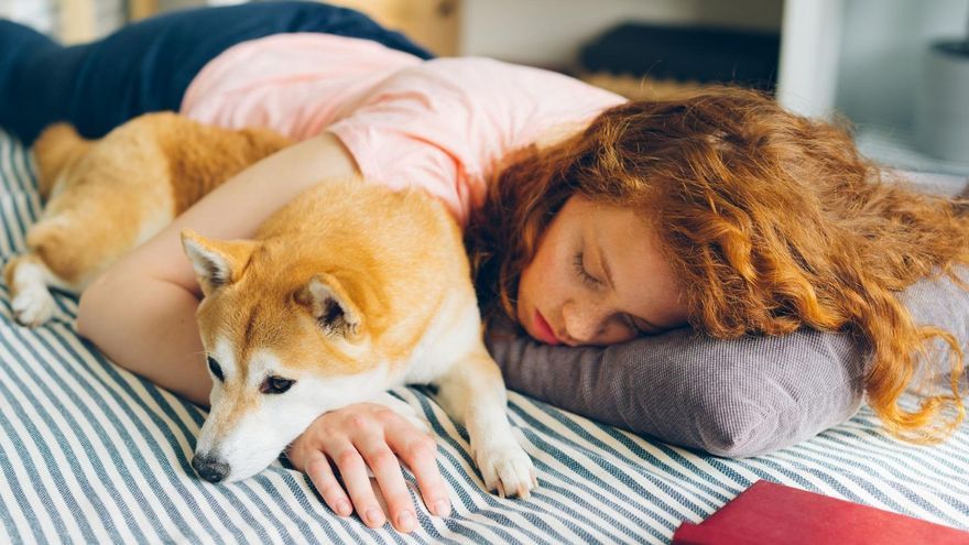El contacto físico al dormir juntos tranquiliza tanto al humano como al animal.