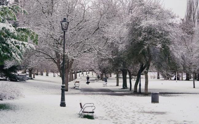 La capital alavesa ha amanecido cubierta de un manto blanco de nieve.