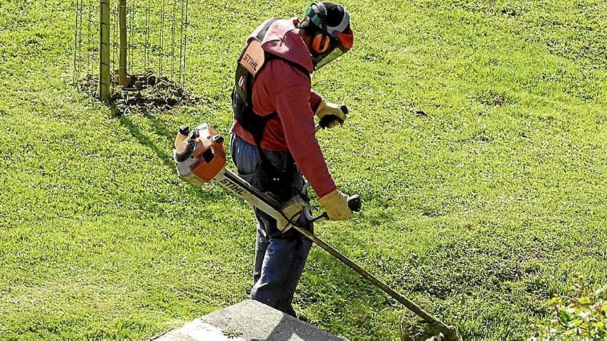 Un jardinero podando la hierba. | FOTO: OSKAR MARTINEZ