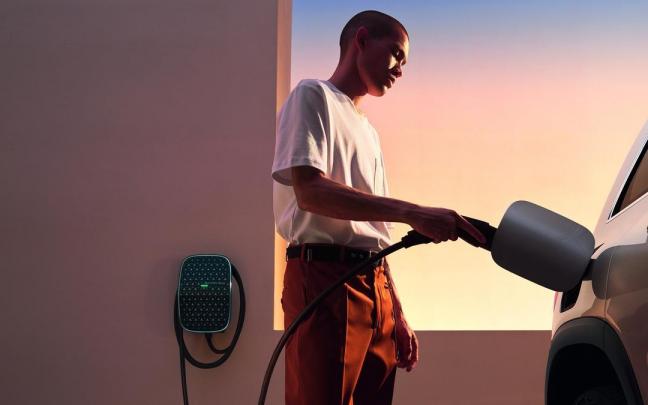 La electrificación no termina de convencer al público.