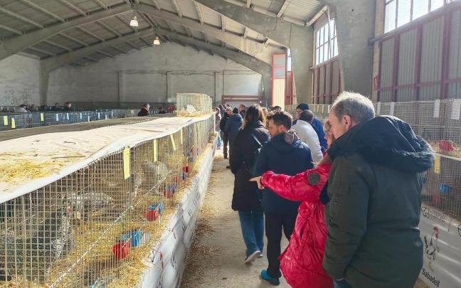 Visitantes de la séptima edición del Certamen de Avicultura en Tafalla