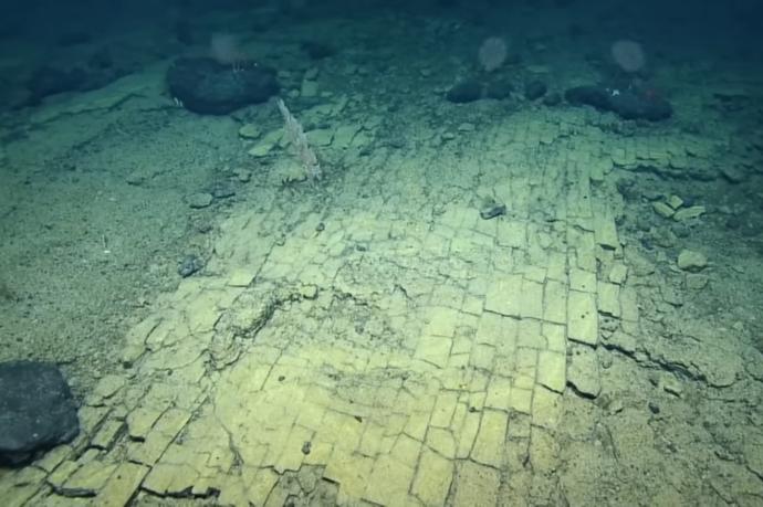 El 'camino de baldosas amarillas' encontrado en el fondo del Océano Pacífico.