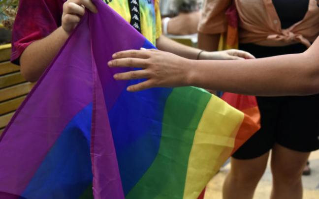 Bandera LGTBI+. Bandera LGTBI+.