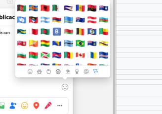 Desplegado el panel de banderas que se puede encontrar en Facebook para ilustrar un mensaje.