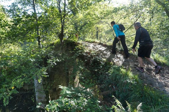 La ruta se celebrará el próximo 31 de octubre