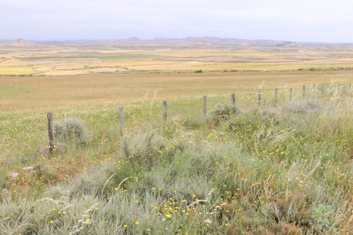 Vista del parque de Bardenas Reales.