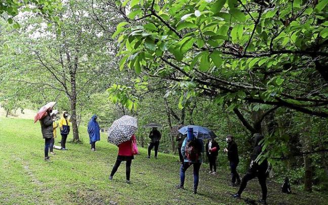 EHUko irakasle talde bat Donostiako Miramon parkean baso bainu saio bat egiten.