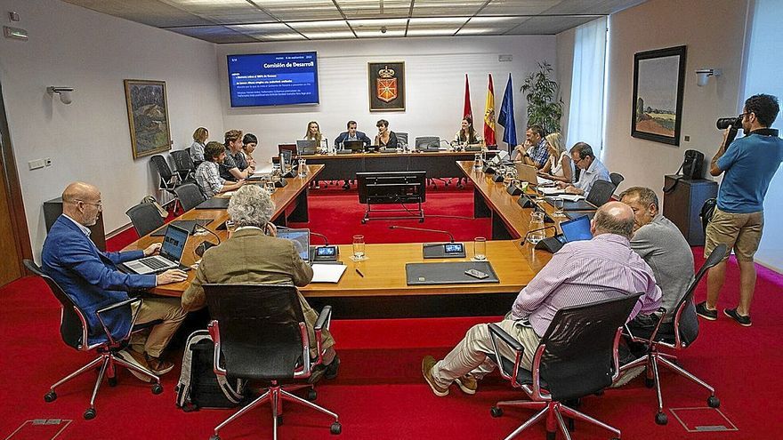 Imagen general de la comisión de Desarrollo Económico del Parlamento de Navarra, durante una comparecencia.