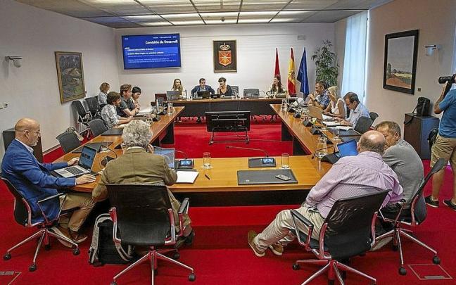 Imagen general de la comisión de Desarrollo Económico del Parlamento de Navarra, durante una comparecencia.