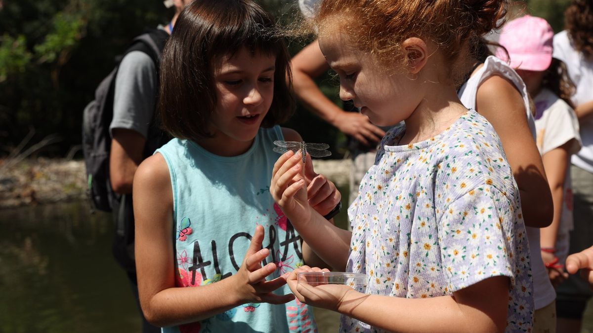 Dos niñas fijan la mirada sobre la libélula, con las alas totalmente extendidas.