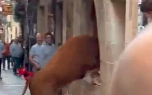 Momento en el que la vaquilla salta al interior de la panader&iacute;a.