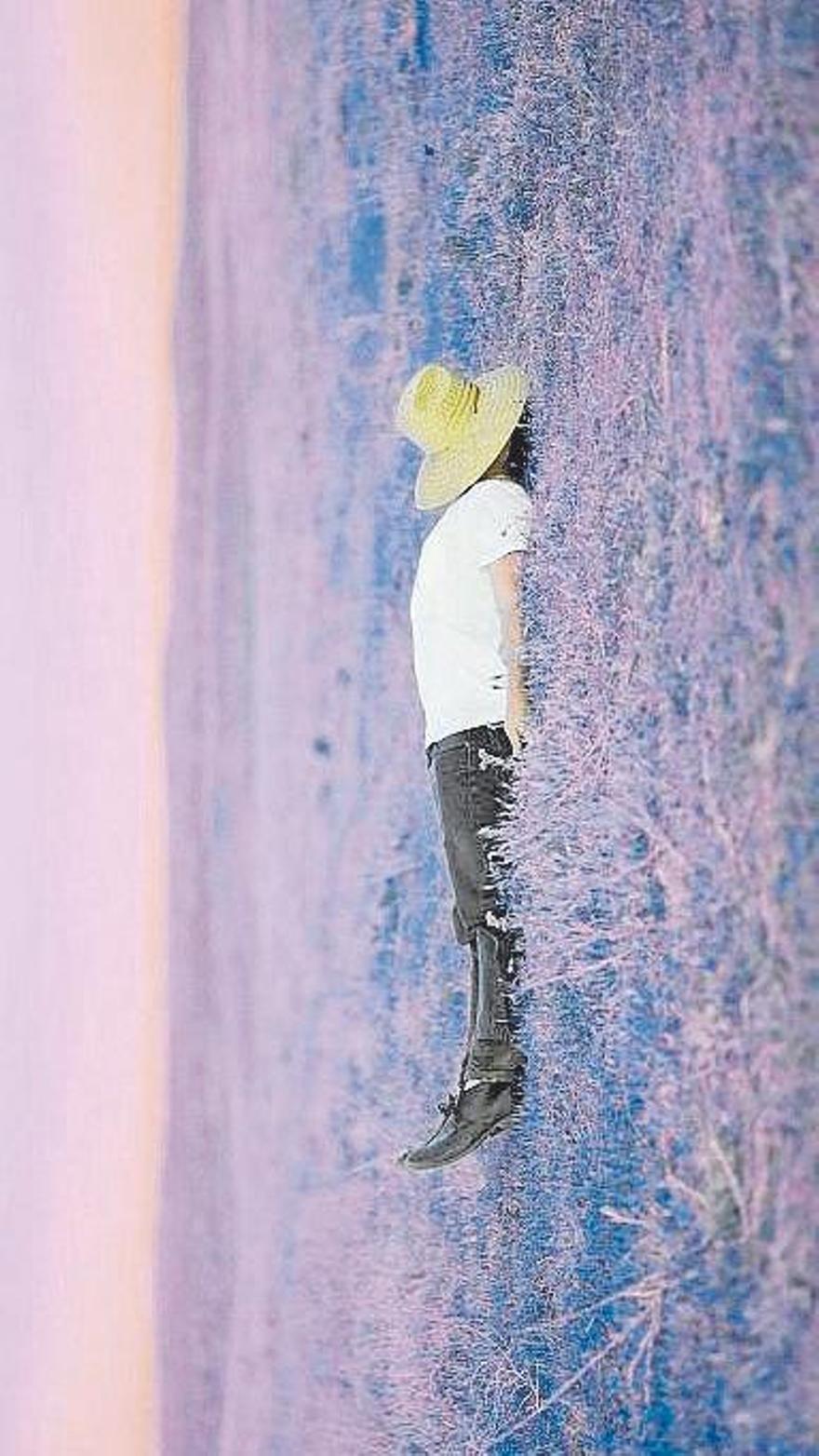 Zigor 3D artista bisual gasteiztarraren abatarra.