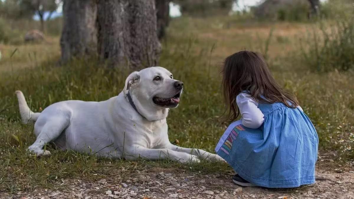 Un perro y una niña