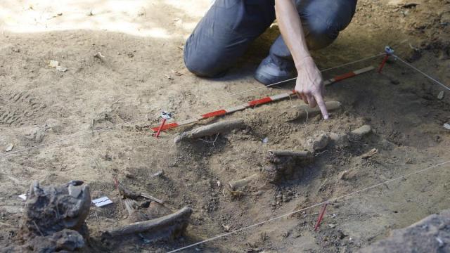 Imagen de archivo de una exhumación de restos de la Guerra Civil.