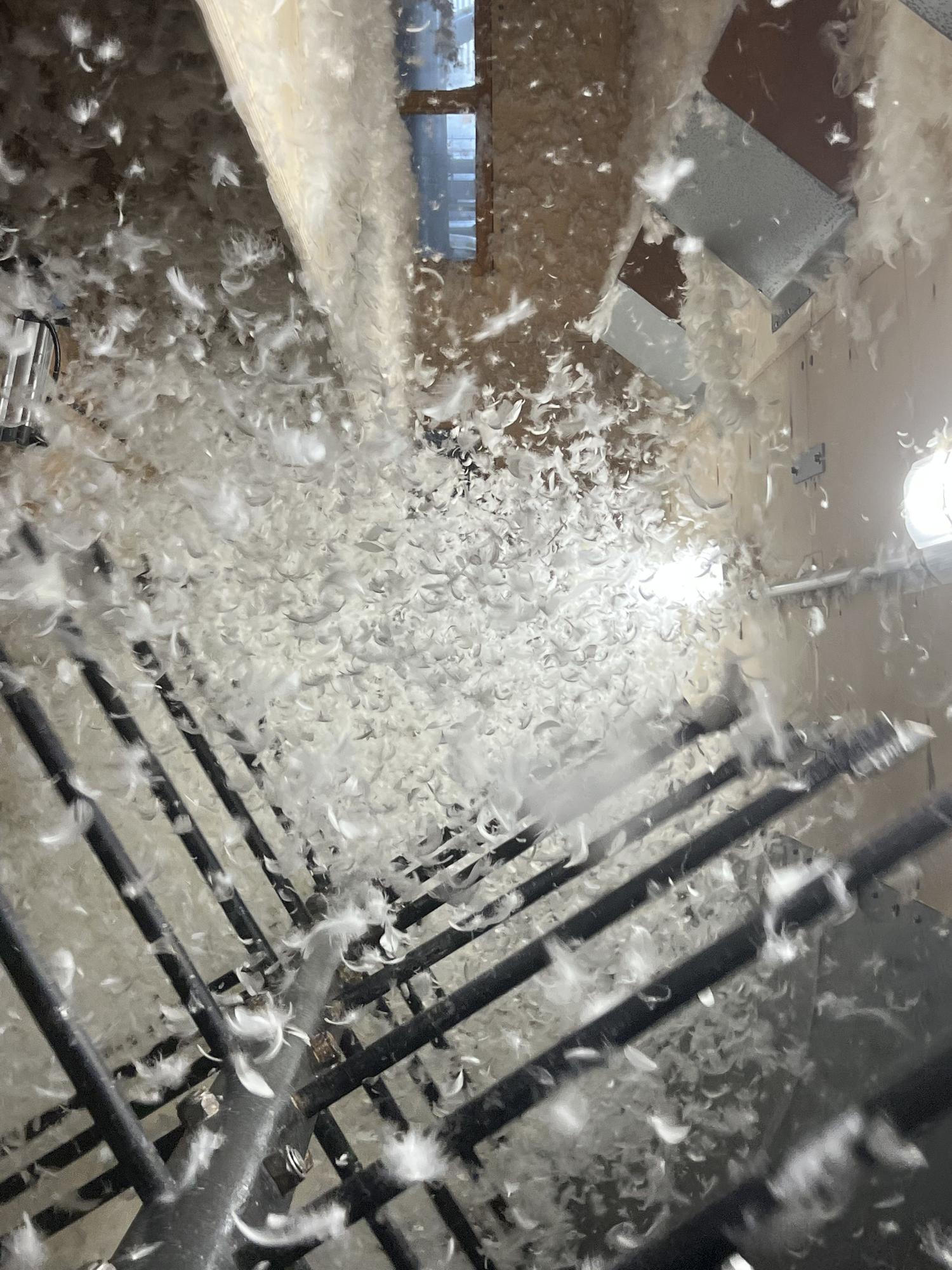 Selección de materia, una de las fases del proceso productivo de esta compañía.