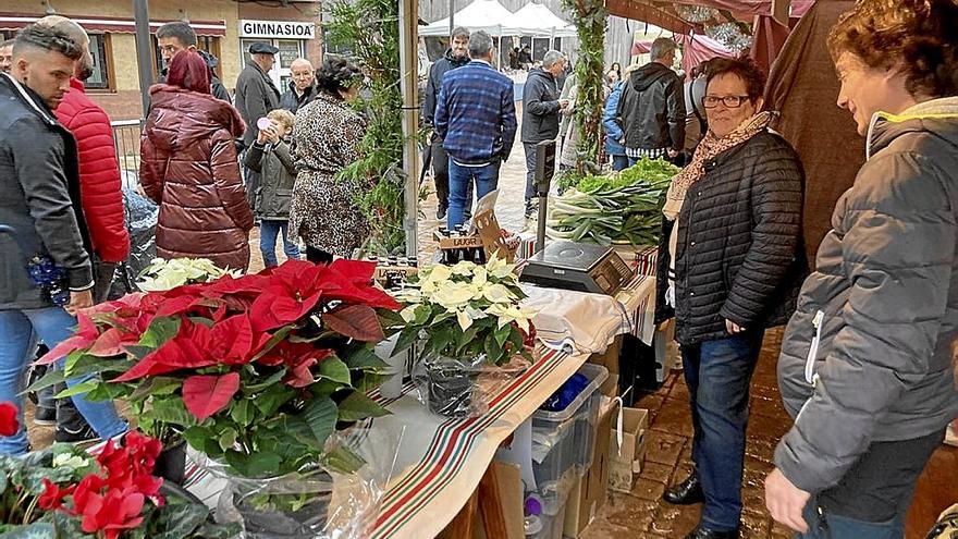 La feria de car&aacute;cter navide&ntilde;o organizada por primera vez en Bermeo.