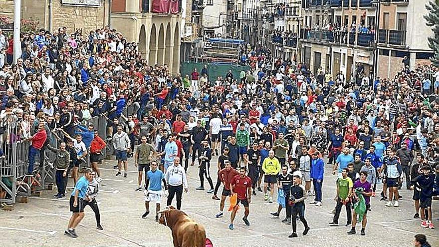 Cientos de personas observan al novillo de Eulogio Mateo.