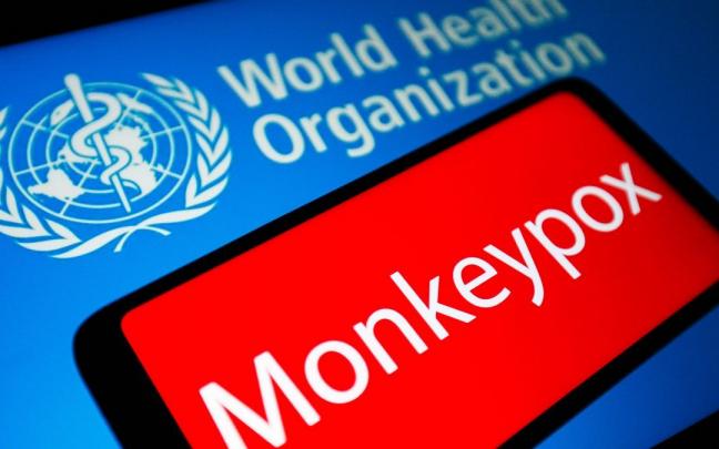 El brote de viruela del mono no constituye una emergencia sanitaria, según la OMS.