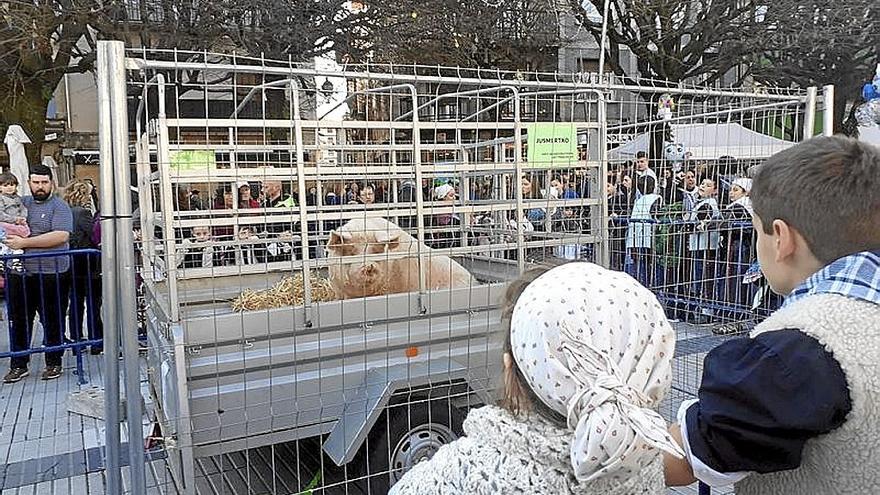 Bi haur ‘Jusmertxo’ txerria ikusten.