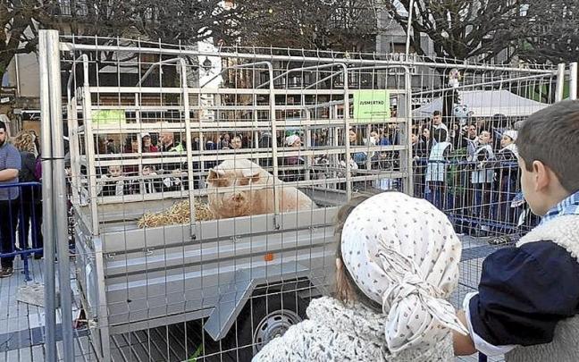 Bi haur ‘Jusmertxo’ txerria ikusten.