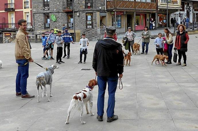 Una de las sesiones de educación canina de la edición anterior. Foto N.G.