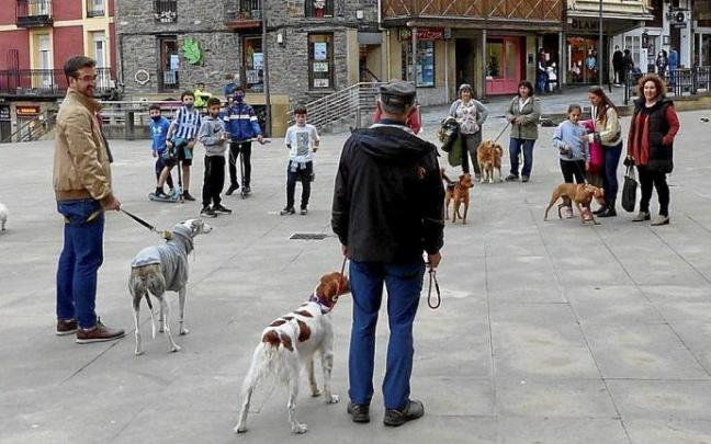 Una de las sesiones de educación canina de la edición anterior. Foto N.G.