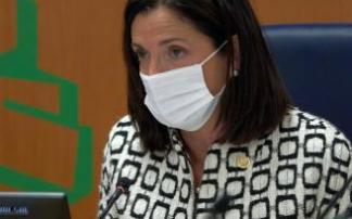 La consejera de Políticas Sociales, Beatriz Artolazabal. La consejera de Políticas Sociales, Beatriz Artolazabal.