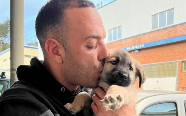 'Shira' desapareci&oacute; el pasado 24 de septiembre con unos 9 meses de edad.