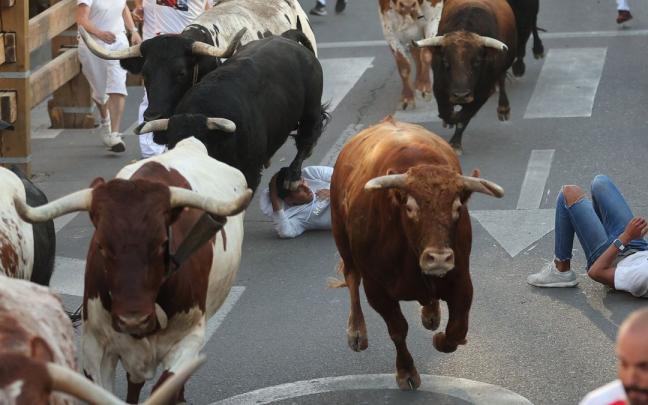 Primer encierro de fiestas de Tudela