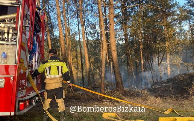 Bomberos en pleno trabajo de extinción del fuego en Zeberio Bomberos en pleno trabajo de extinción del fuego en Zeberio