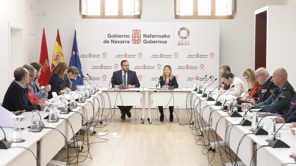 Imagen de la sesión de la Comisión, reunida en el Palacio de Navarra.