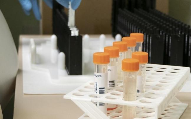 Más de 4.900 casos se han diagnosticado en Europa. Más de 4.900 casos se han diagnosticado en Europa.