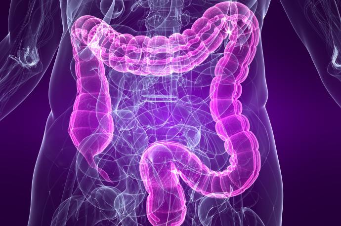 El estudio vincula la mala absorción de carbohidratos con el síndrome de intestino irritable.