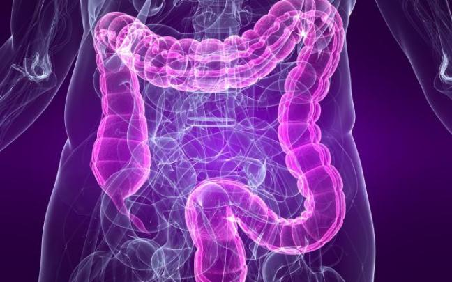 El estudio vincula la mala absorción de carbohidratos con el síndrome de intestino irritable. El estudio vincula la mala absorción de carbohidratos con el síndrome de intestino irritable.