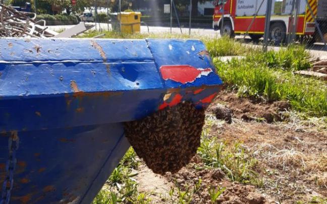 La colmena de abejas