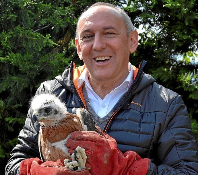 El diputado general de Álava, Ramiro González, con un ejemplar de águila Bonelli. Foto: P. J. Pérez