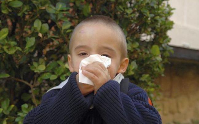 Osakidetza ha atendido 700 casos de bronquiolitis en octubre, el doble de lo habitual Osakidetza ha atendido 700 casos de bronquiolitis en octubre, el doble de lo habitual