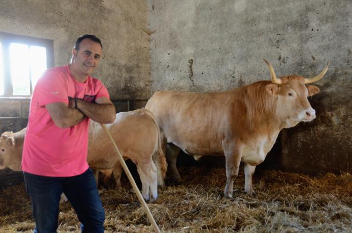 Martintxo Mendiburu posa con su buey 'Gofer'